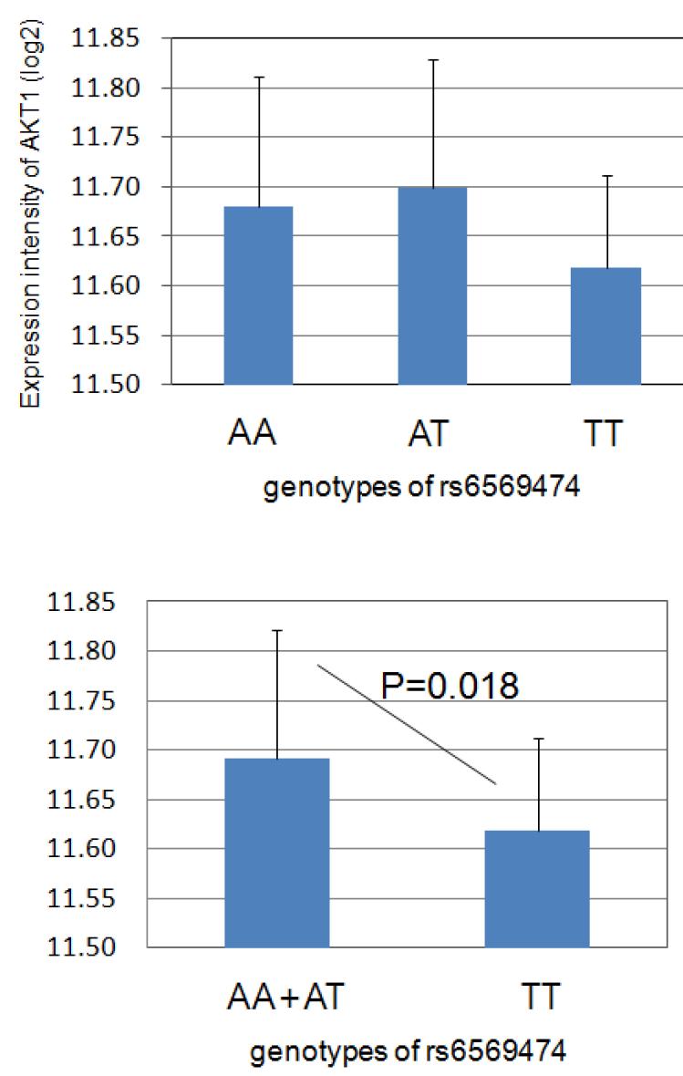 Allelic expression of AKT1 (v-akt murine thymoma viraloncogene homolog 1) in K-HapMap LCLs