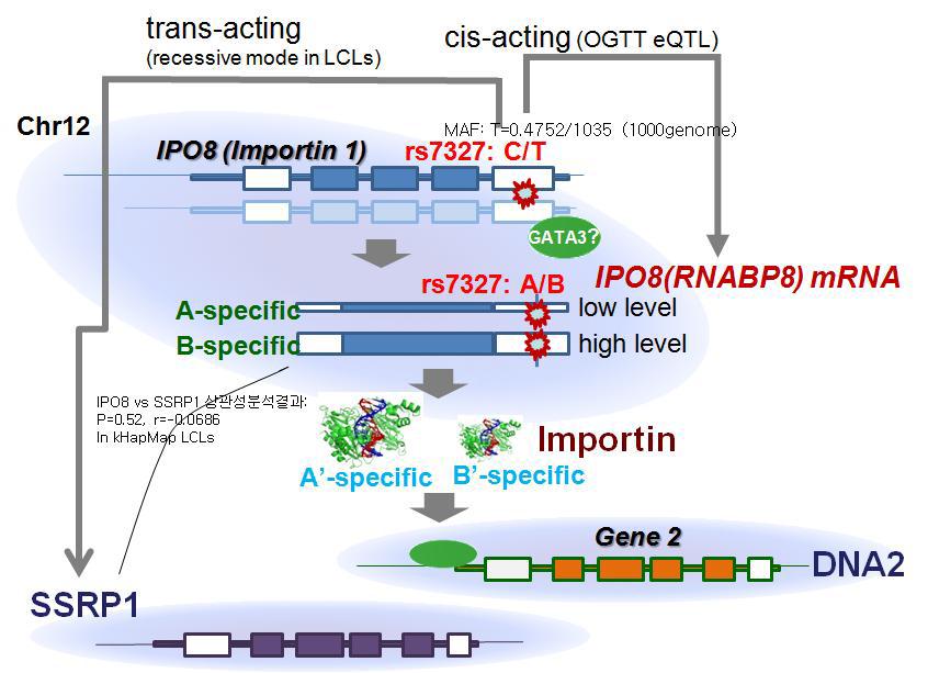 eQTL information of a genetic variant (rs7327)