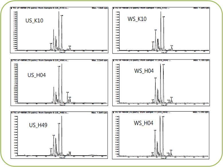 Preliminary metabolites analysis according to methods for extraction of cell lysates.