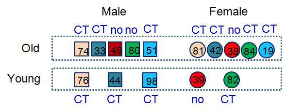 Parent-of-origin effect of AKT1 gene in LCLs.