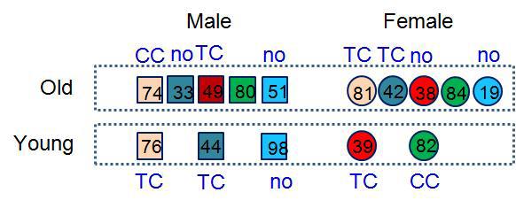 Parent-of-origin effect of IPO8 gene (cis-eQTL gene of rs7327) in LCLs.