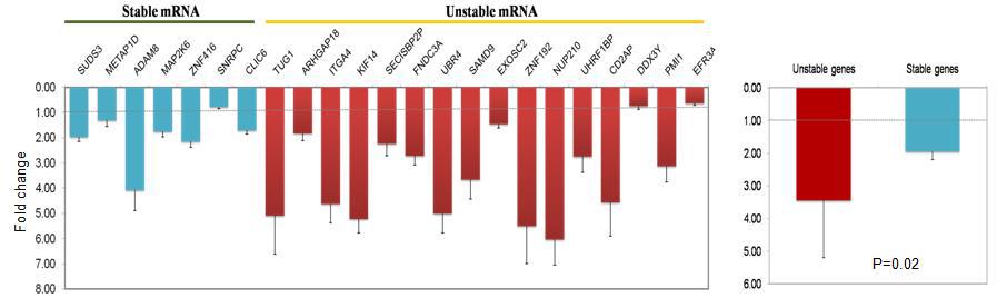 Validation of heat-labile genes using real-time PCR