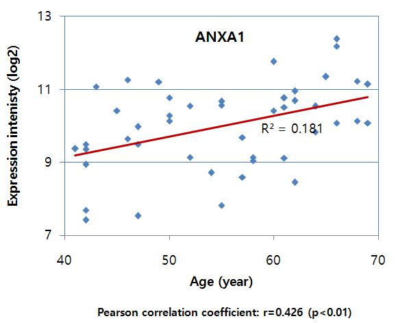 Correlation between ANXA1 expression and the age of blood donors for LCLs