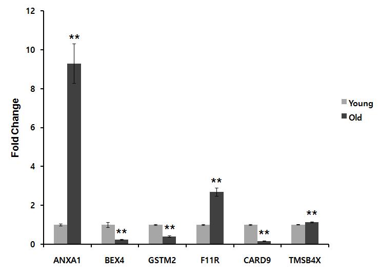 Validation of microarray data using real-time PCR (** p<0.001)