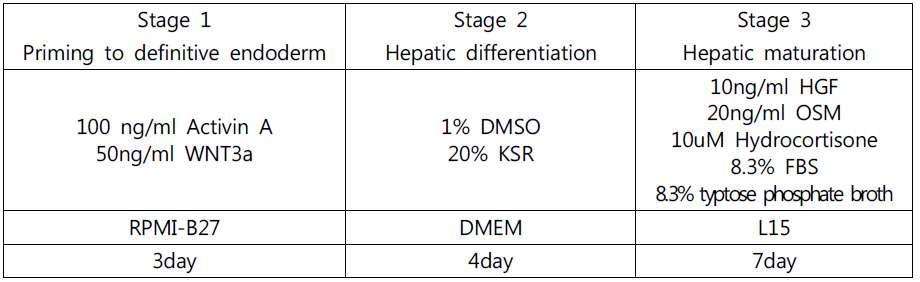 배아줄기세포의 간세포 분화 프로토콜