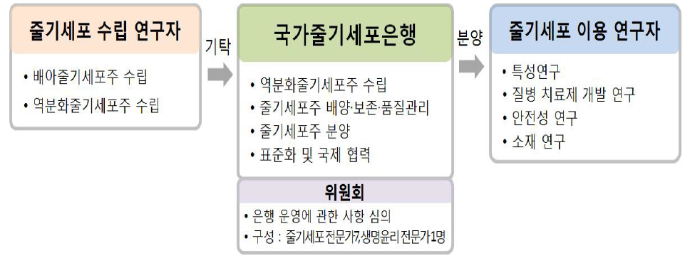 국가줄기세포은행 추진체계