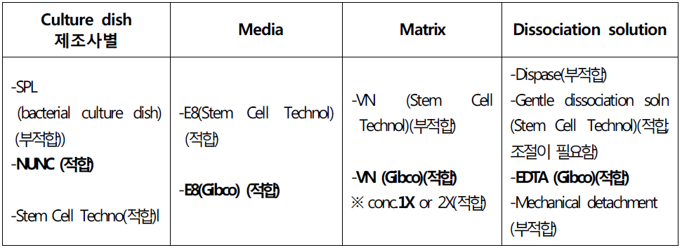 feeder-free 및 xeno-free 배양 조건