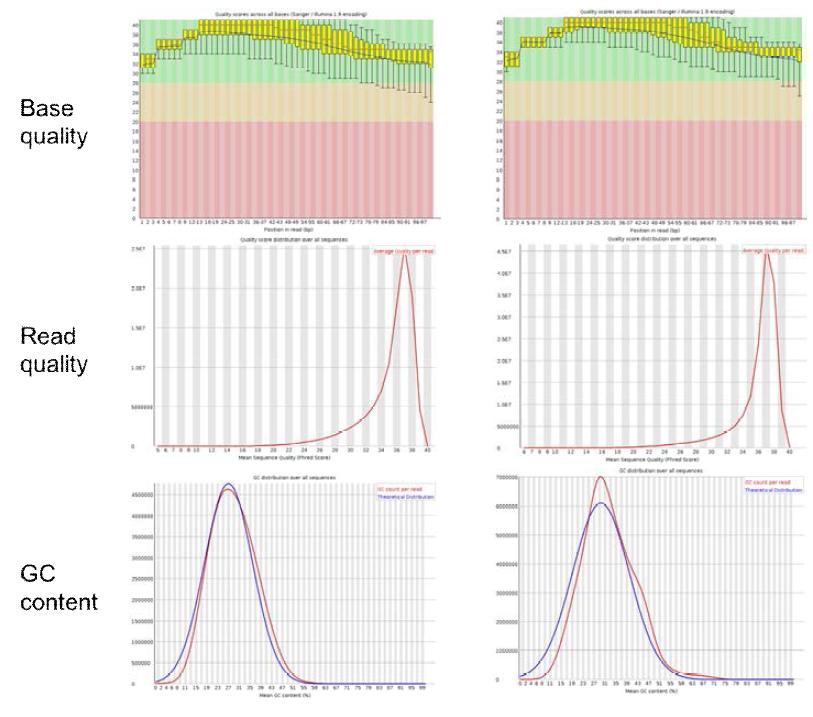 Fastq 파일에 대한 quality control. BS-Seq(좌)과 MeDIP-BS-Seq(우) 결과