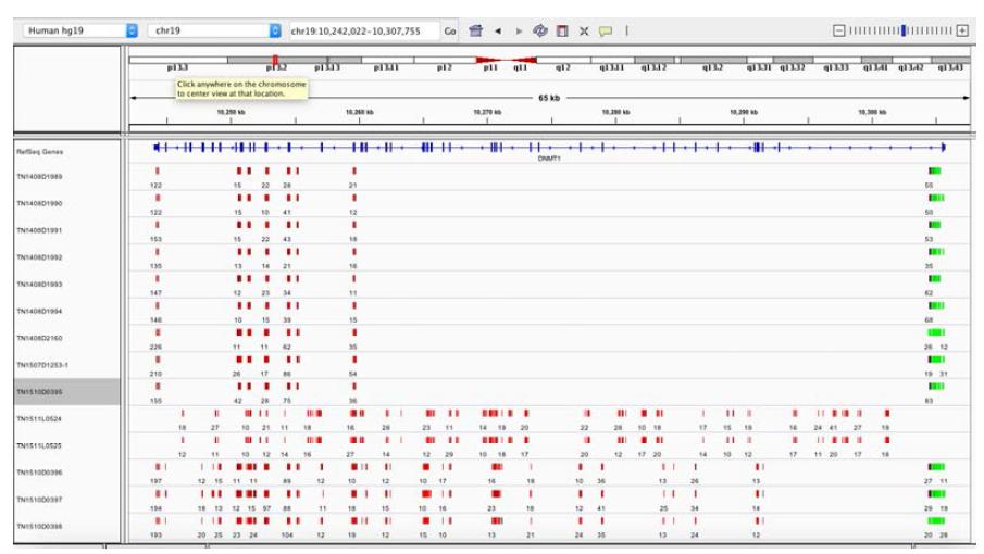 Genome browser(IGV)를 통한 메틸레이션 데이터의 시각화