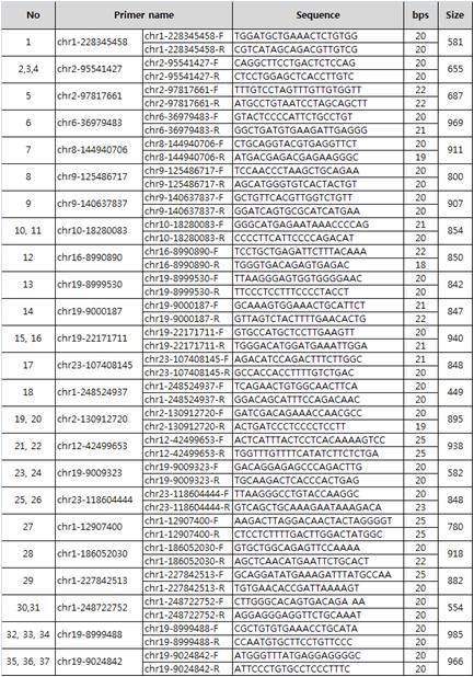 Sanger sequencing 용 primer sequence