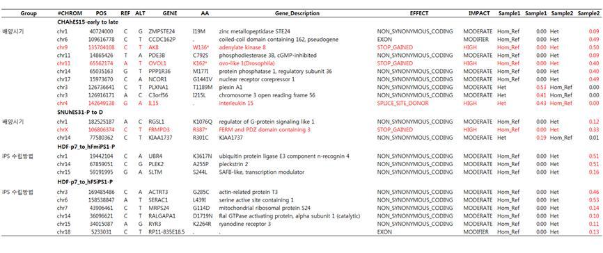 WES 과 Sanger Sequencing 결과비교 (SNUhEs31, hFSiPS1, hFmiPS1)