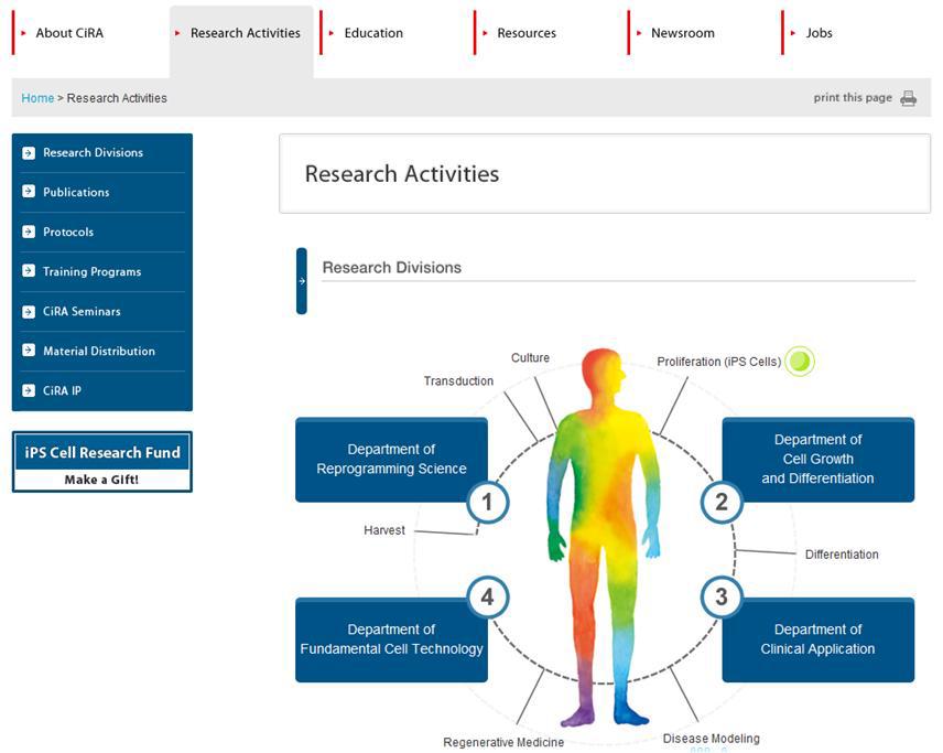 Research Activities