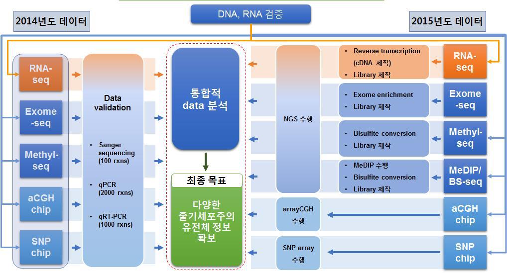 줄기세포주 유전체 데이터 생산 및 분석검증