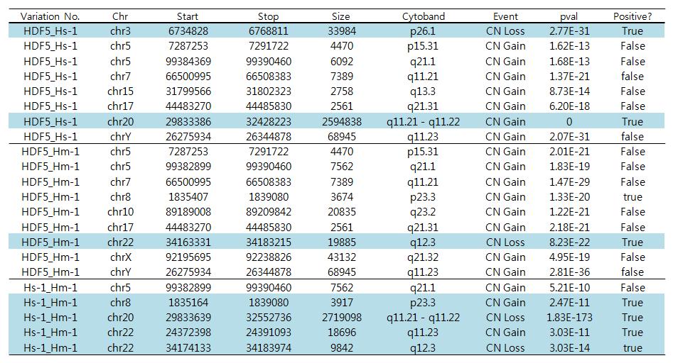 ArrayCGH로부터 detecion된 CNV 목록