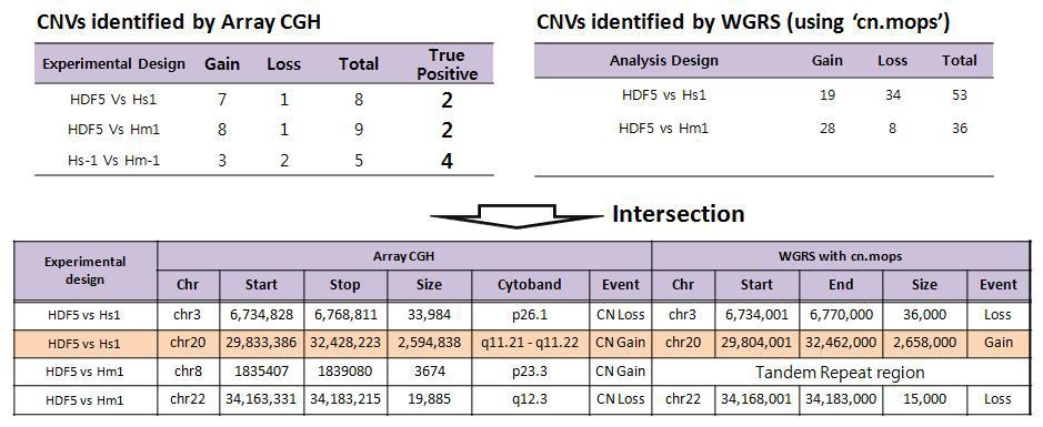 arrayCGH와 WGS 결과에서 공통으로 확인된 CNV region