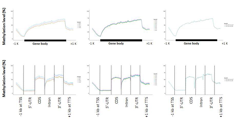 유전자 Flanking region에서의 methylation level 분포(상)와 유전자 내부 영역에 대한 methylation level 분포(하)