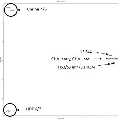 총 14개 샘플에 대한 MDS plot