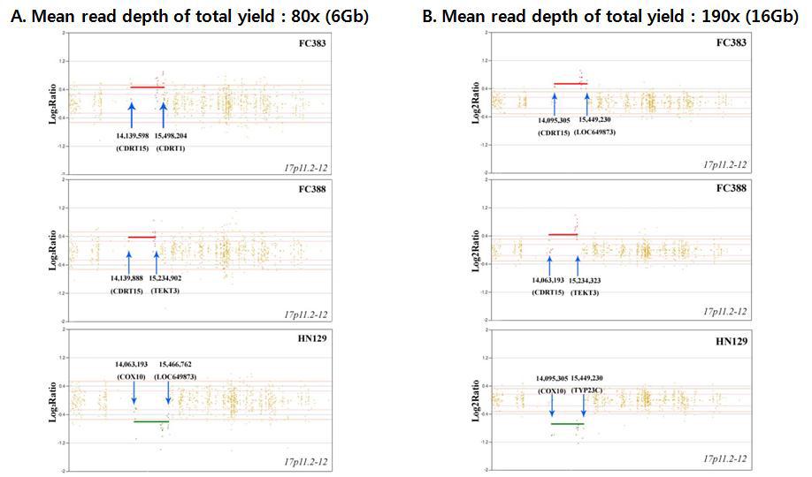 CEQer 프로그램에서 80x와 190x mean read depth의 WES data로부터 17p11.2 - 12 region에서 duplication과 deletion을 각각 확인한 결과