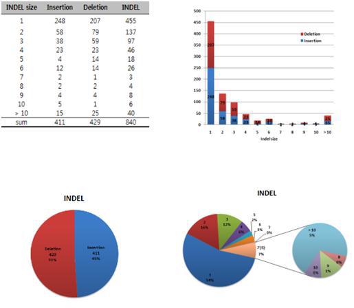 INDEL size 에 따른 INDEL calling 개수와 분포