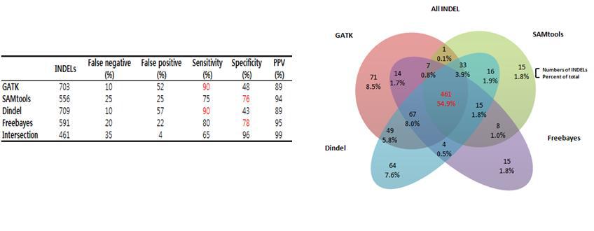 Algorithm(GATK, SAMtools, Dindel, Freebayes) 간의 concordance 분석