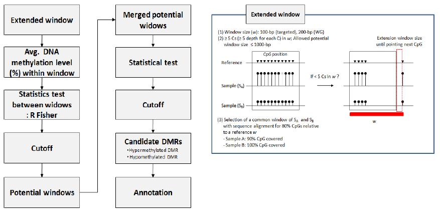 DMR 추출을 위한 분석과정 (좌)와 window 확장으로 DMR추출에 대한 모식도 (우)