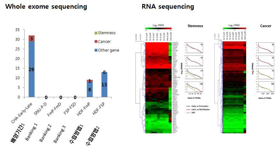 Stemness gene 와 cancer related gene region 내의 변이 양상 확인 결과 (SNUhEs31, hFSiPS1, hFmiPS1)