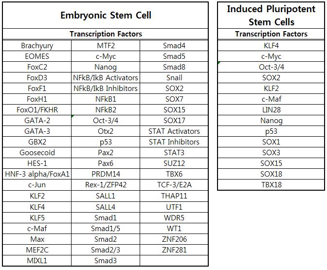 배아줄기세포와 역분화줄기세포의 중요 유전자 list