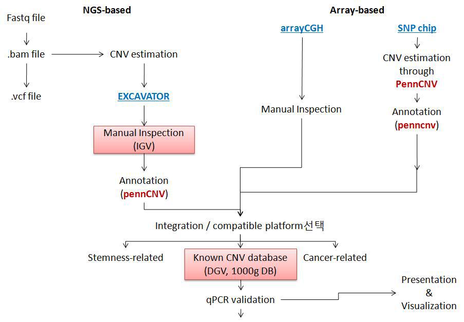 CNV 분석 workflow