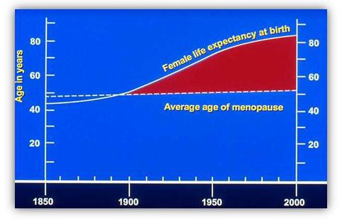 Life expectancy and age of menopause