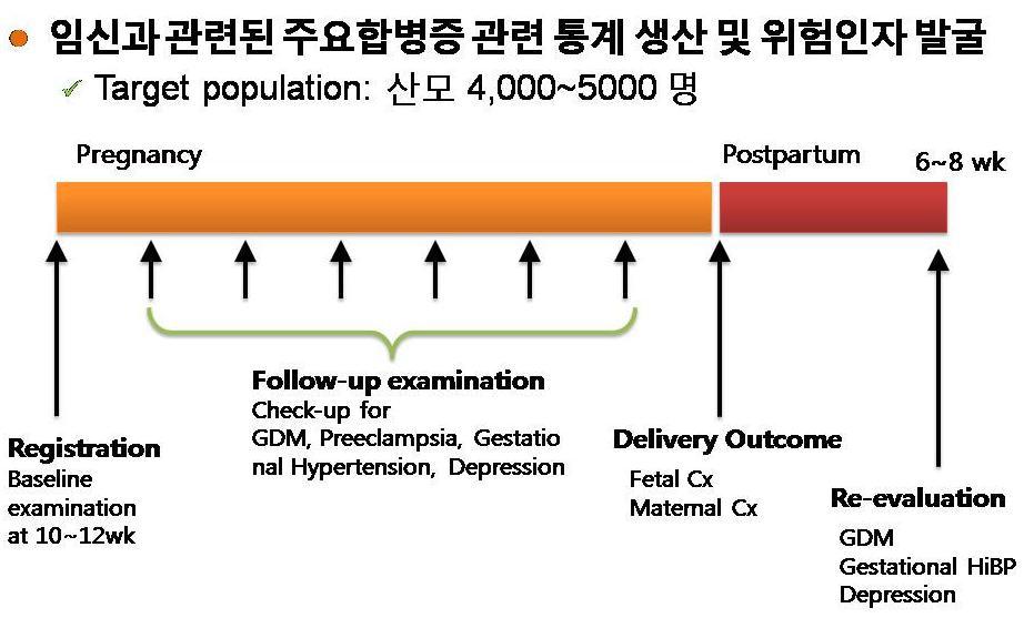 임신부 레지스트리 등록 및 추적