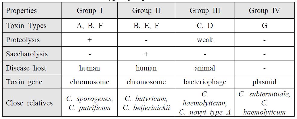 Phenotypic groups of Clostridium botulinum