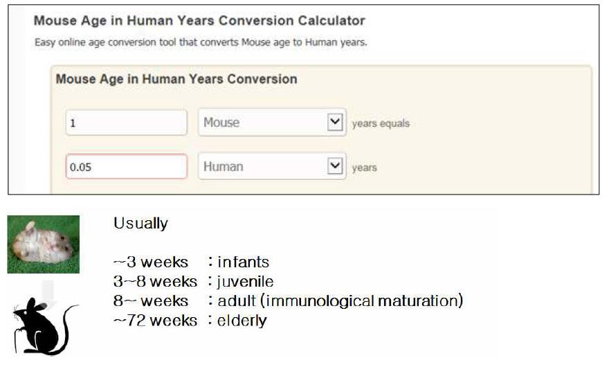인간 대비 마우스 연령 비교 모델