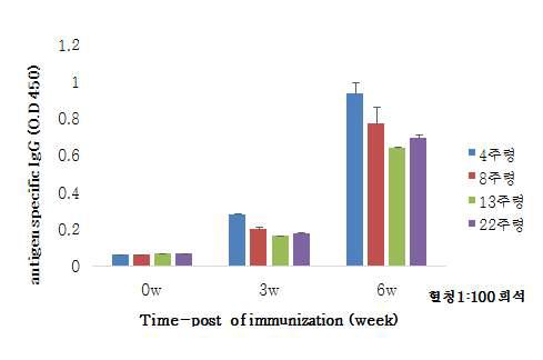 Vaccinia 항원을 이용한 KVAC103의 마우스 주령별 Total IgG 확인