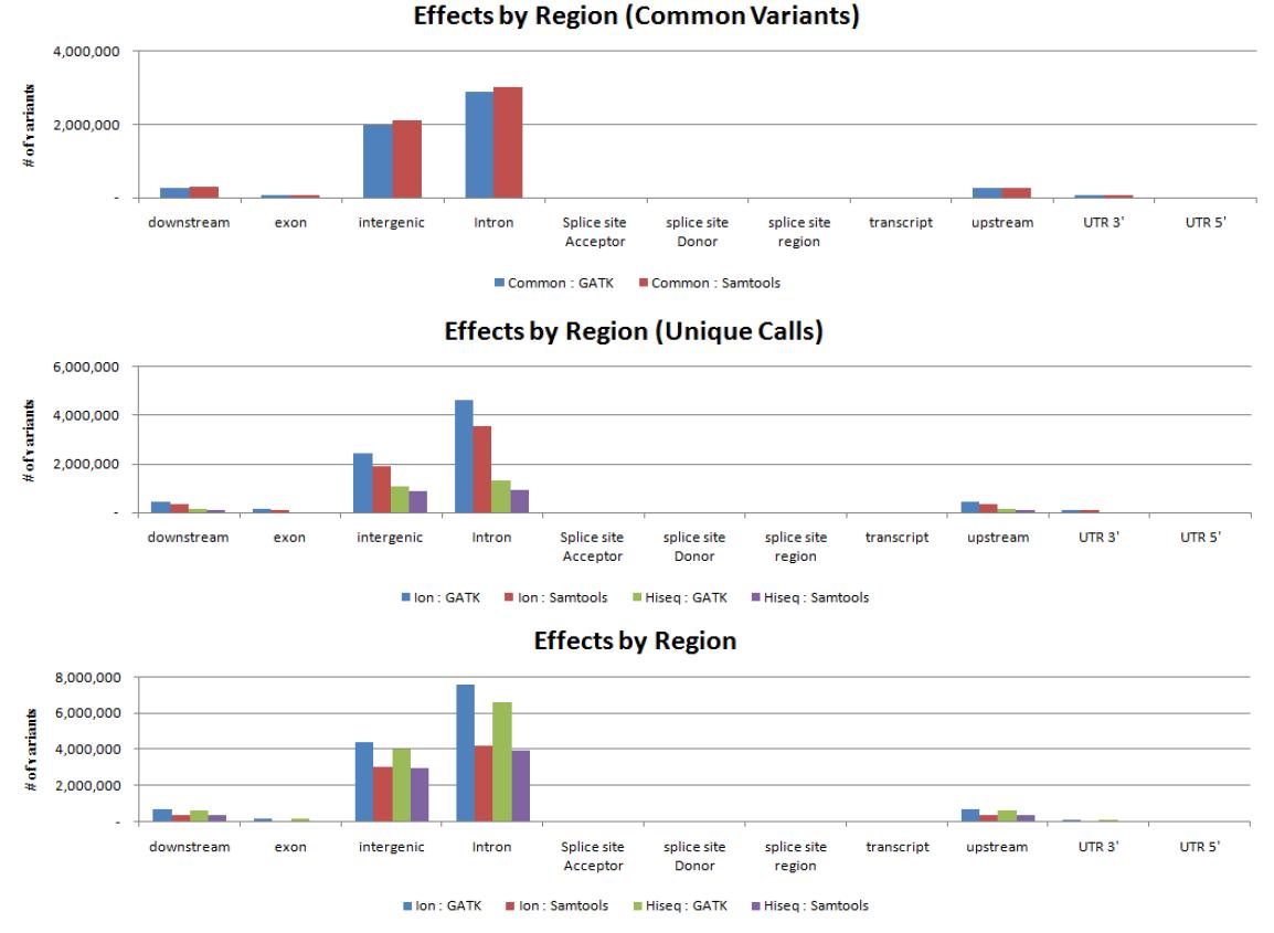 Classification of variants by region