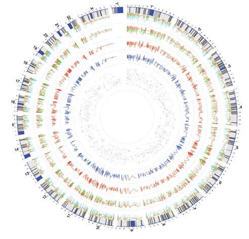 Acinar 세포의 DNA methylation 변이 지도, 정상 및 당뇨