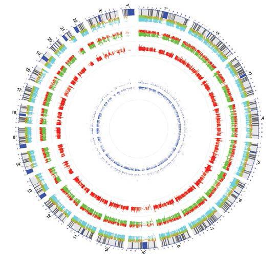 지방조직 Adipocyte 세포의 DNA methylation 변이 지도, 정상 및 비만