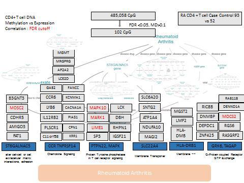 Pathway 분석 : Biograph 분석법, 선별된 CpG연관 유전자를 이용한 질환 연관성분석을 위해 Biograph Analysis Tool 분석법을 도입함