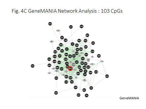 선별된 CpG 연관 유전자들의 네트워크 상호작용을 보여주는 GeneMANIA 분석법의 도입,