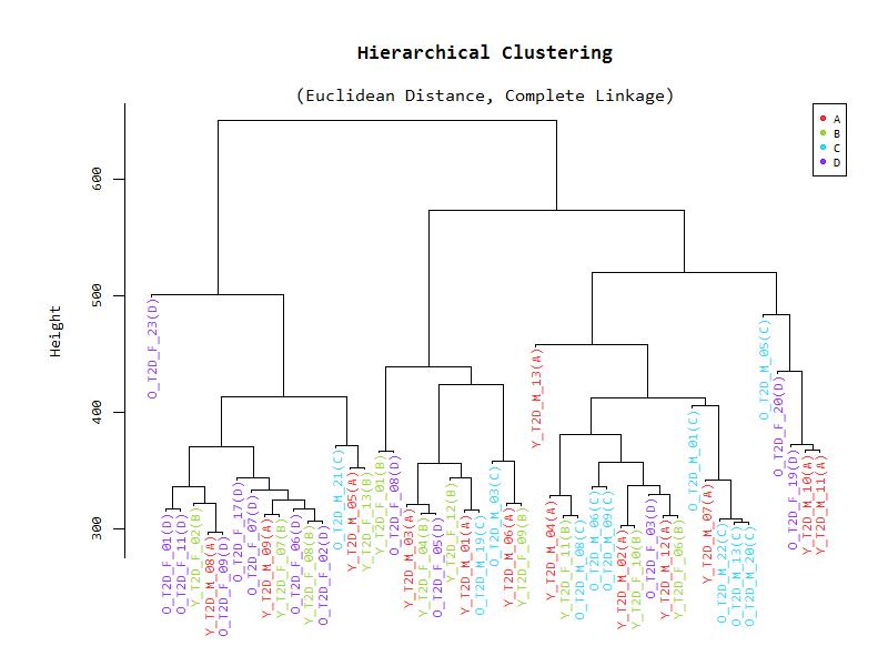 당뇨 환자 48명의 Methylation profile을 이용한 unsupervised hierarchical Clustering Plot