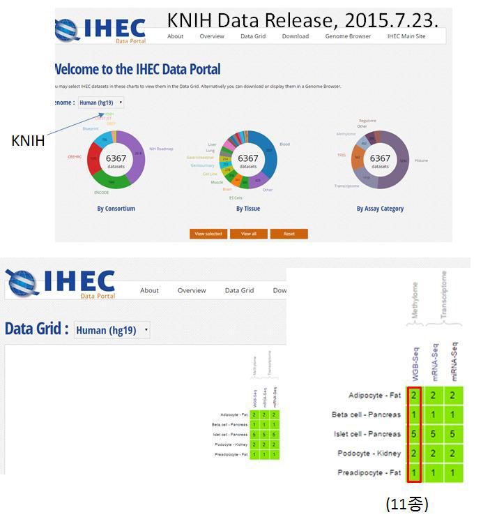 국제컨소시엄을 통한 한국인 에피유전체 사업 데이터 공개