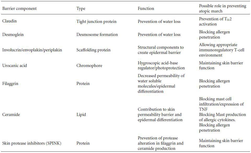 피부장벽을 구성하는 물질들의 기능 및 알레르기행진 연관성