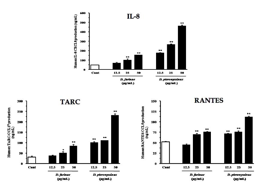 집먼지진드기 알레르겐 감작 후 HaCaT 세포의 IL-8, TARC 및 RANTES 분비 변화
