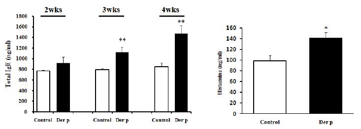 Der p 감작에 따른 Nc/Nga 마우스에서의 total IgE, histamine 분비 변화