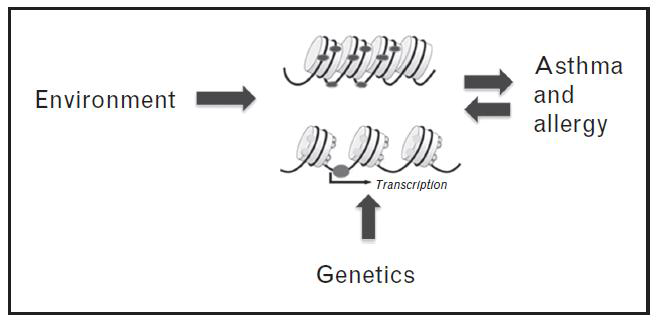 환경, 유전, 후성유전과 호흡기·알레르기 질환의 관계