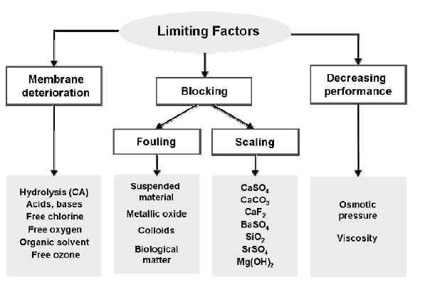 Limiting Factors to Membrane Desalination by Reverse Osmosis