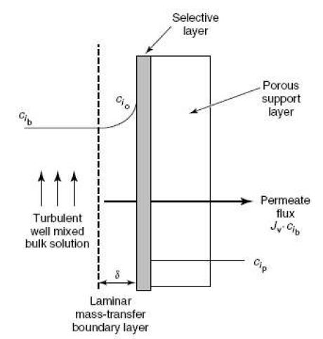 Concentration Polarization