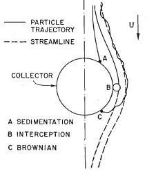 Effects of particle adsorption on collectors in granular media filtration