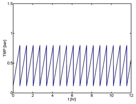 Simulation of constant flux filtration with backwash intervals