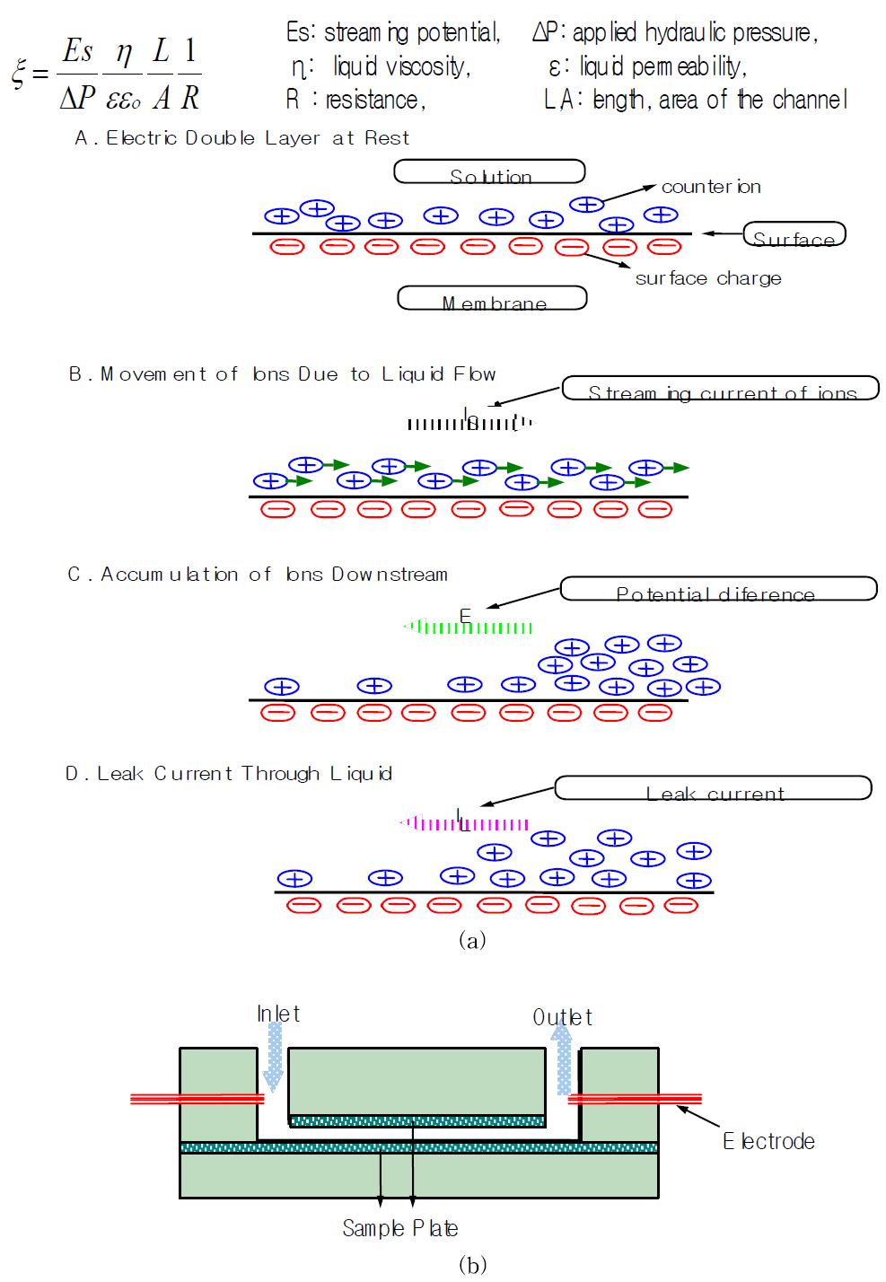 Streaming Potential caused by Charge Accumulation (a) Electrokinetic Analyzer(EKA)의 measuring cell (b)