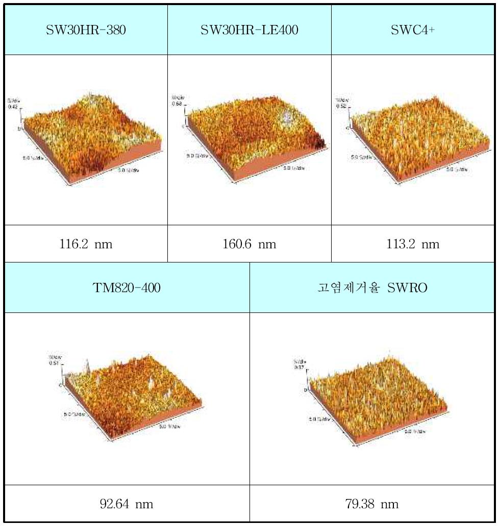 AFM images of SWRO membranes